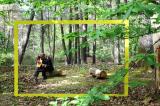 Promenons nous dans les bois 58 * 5184 x 3456 * (11.74MB)